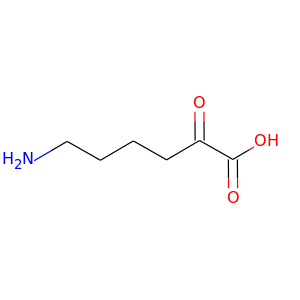 alpha-keto-epsilon-aminohexanoic acid